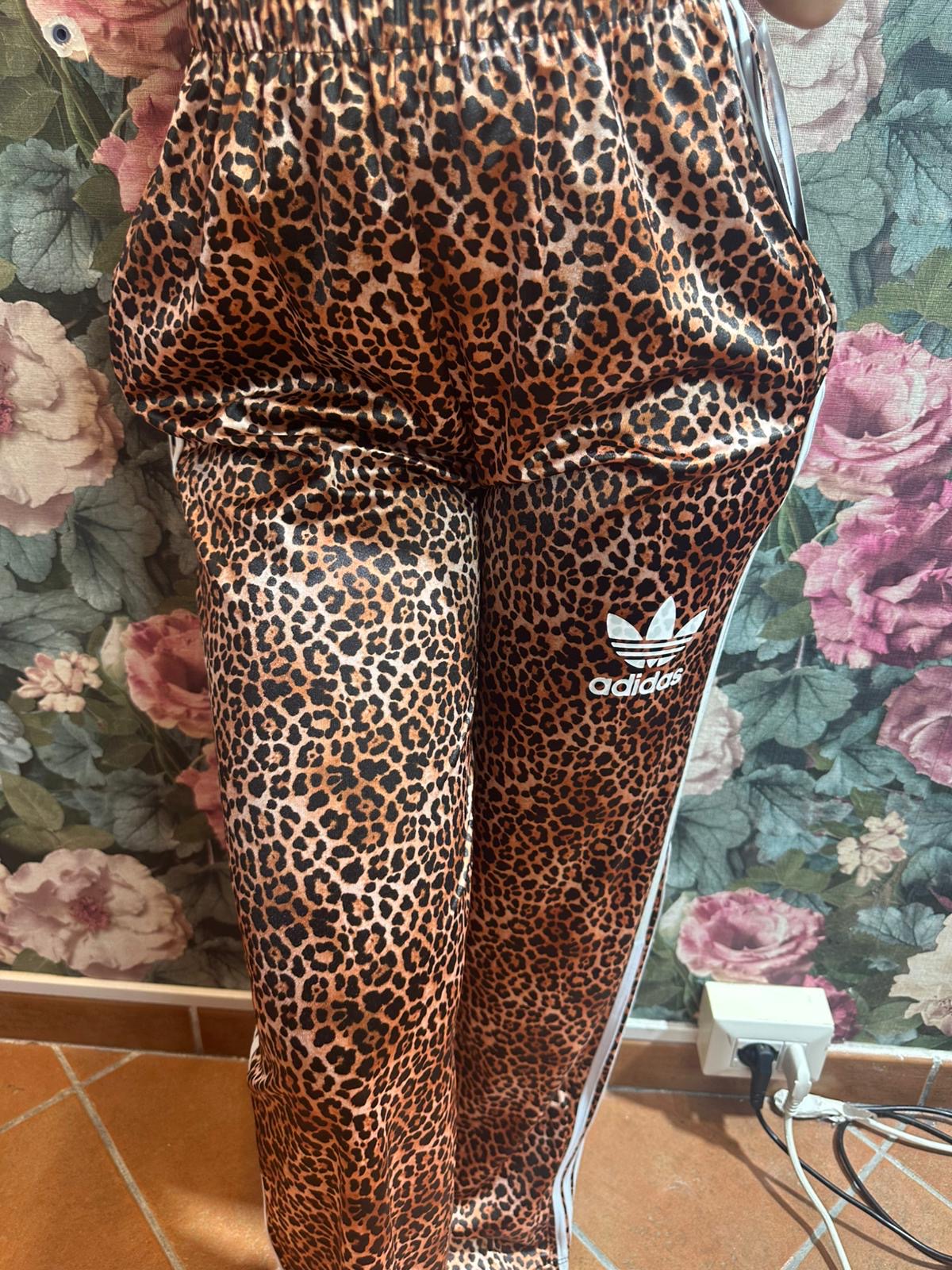 Coordinato Animaler